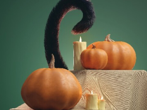 Home demonstrations 0003